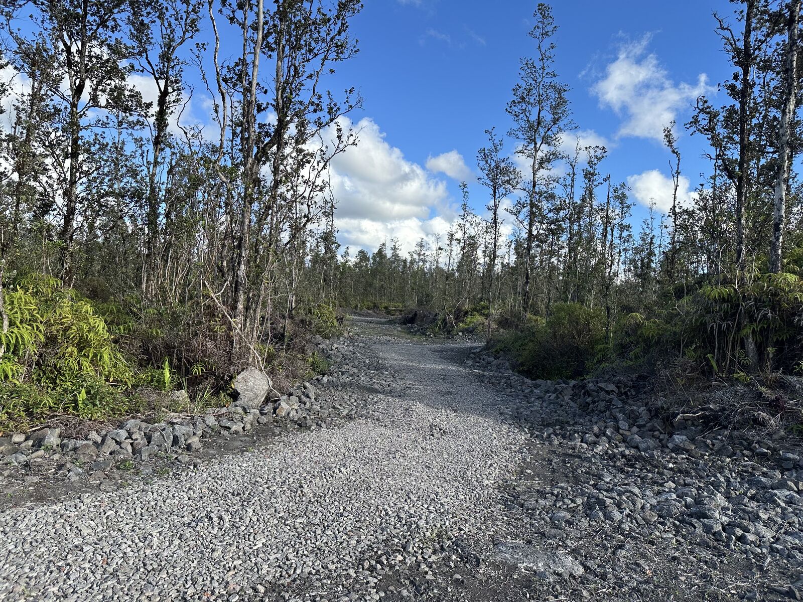 Property Photo:  16-1128 Road 3 (Hopue)  HI 96771 