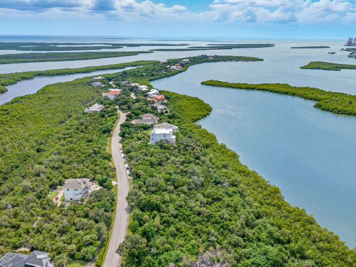 Property Photo:  1097 Blue Hill Creek Drive  FL 34145 