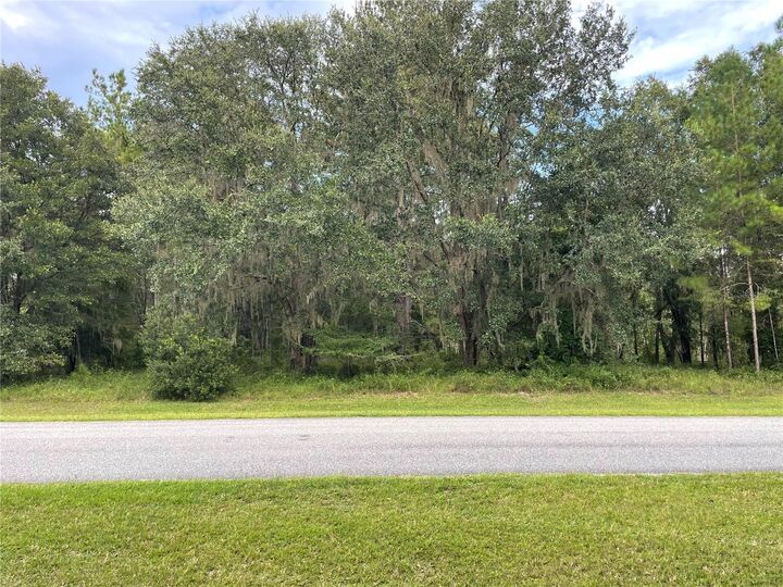 Property Photo:  0 NW 141 Avenue  FL 32696 