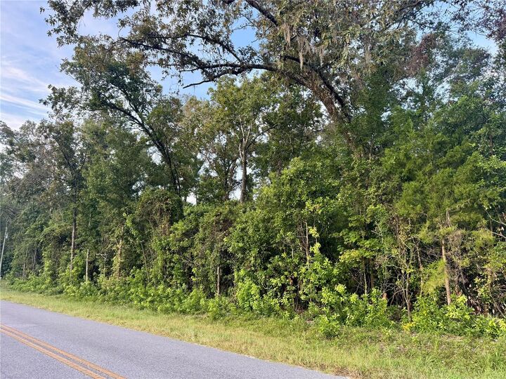 Property Photo: SW Newark Dr FL 32038
