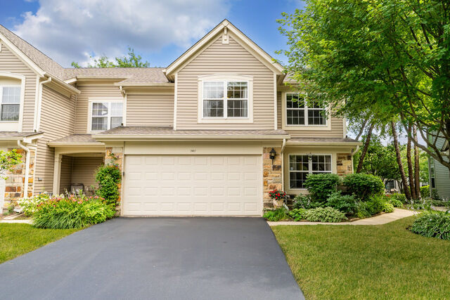 Property Photo:  141 Crescent Lane 141  IL 60193 