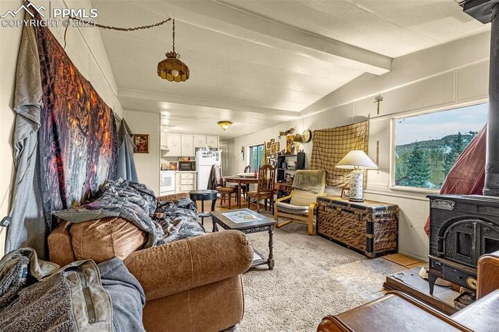 Property Photo:  235 Whalen Avenue  CO 80813 