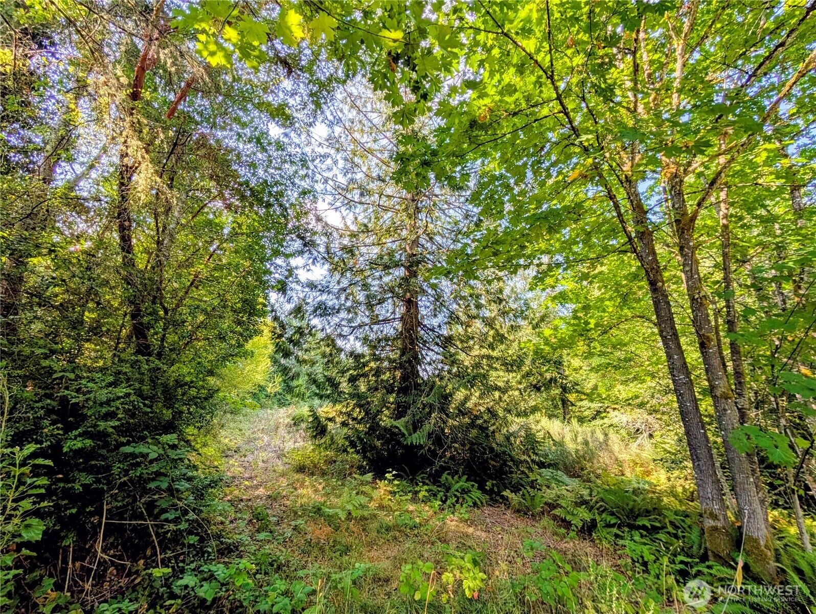 Property Photo:  0  D Street NW  WA 98349 