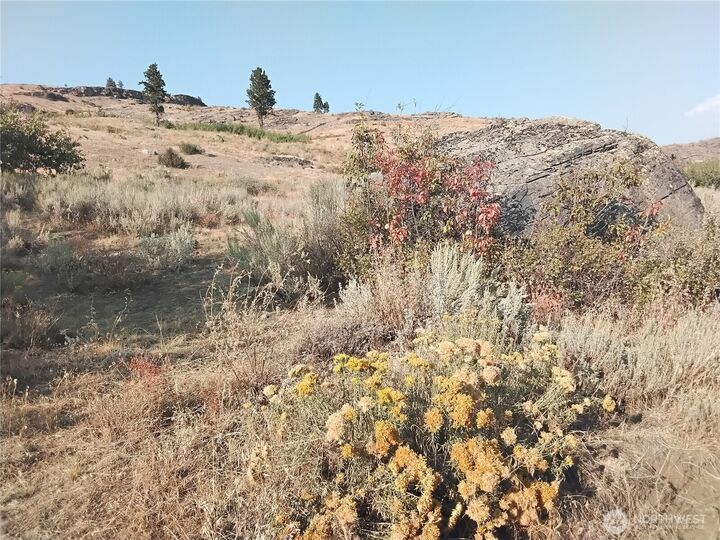 Property Photo: 4 Painted Rock Road WA 98855