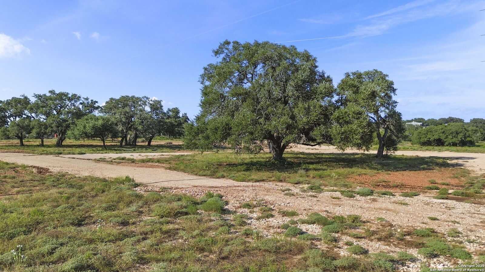 Property Photo:  154 Lone Oak  TX 78132 