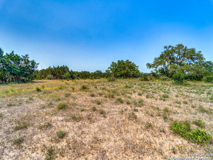 Property Photo:  23375 N Cranes Mill  TX 78133 