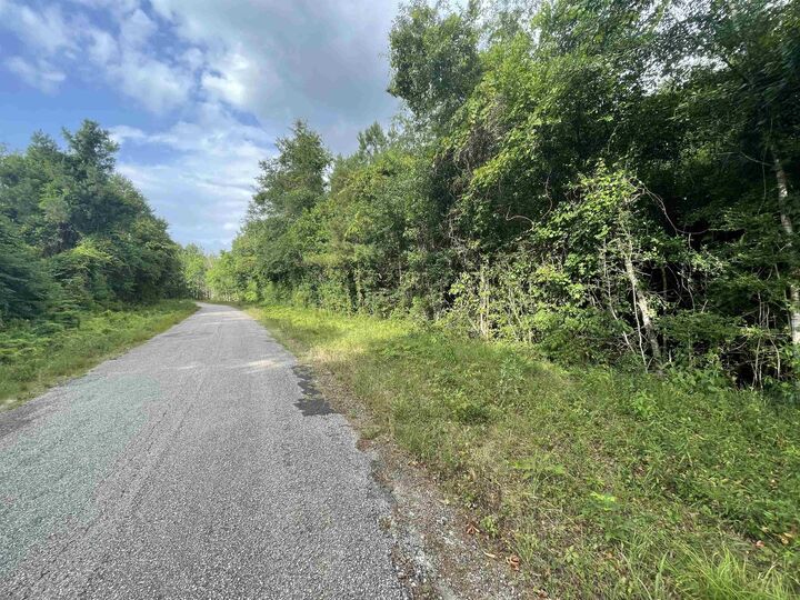 Tract 3 County Road 786  Buna TX 77612 photo