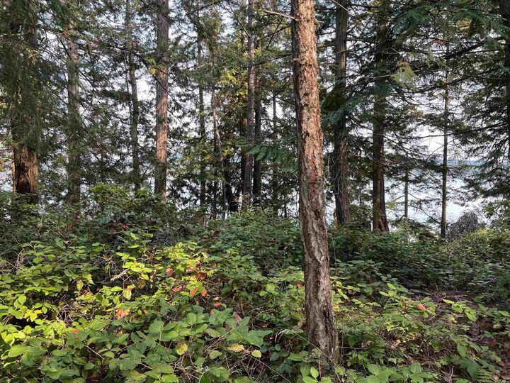 North End Road Lot 2 — photo 1