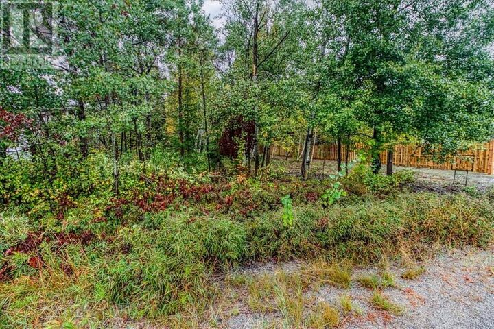 Photo de la propriété:  17 Lionel Avenue  ON P0M 1R0 