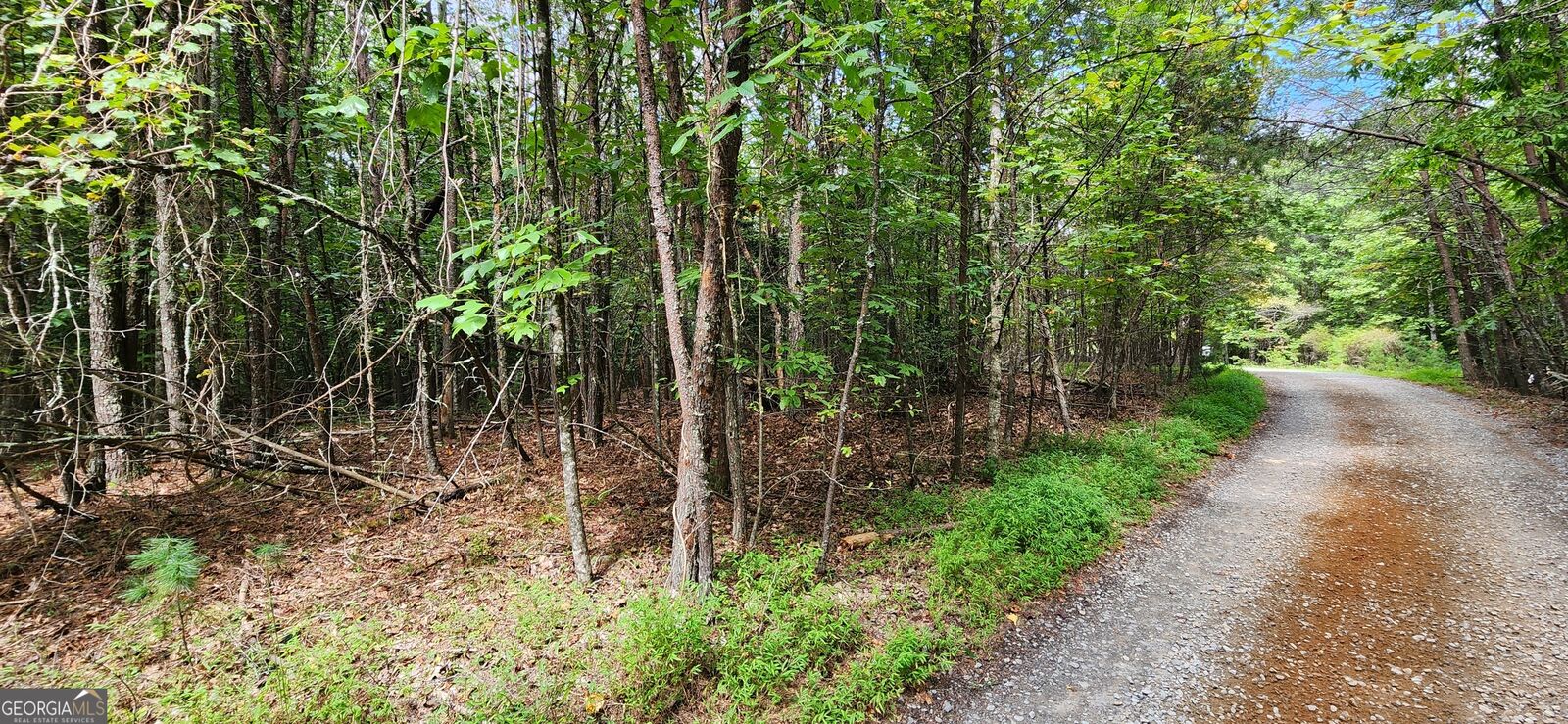 Property Photo:  Lt 14,15 Donna Lee Lane  GA 30559 