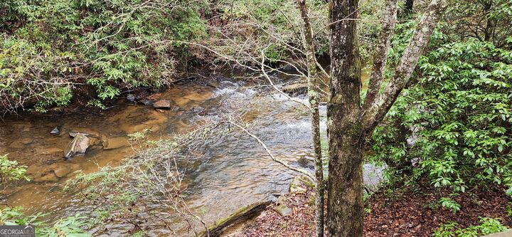 Property Photo: 318 Donna Lee Lane GA 30559