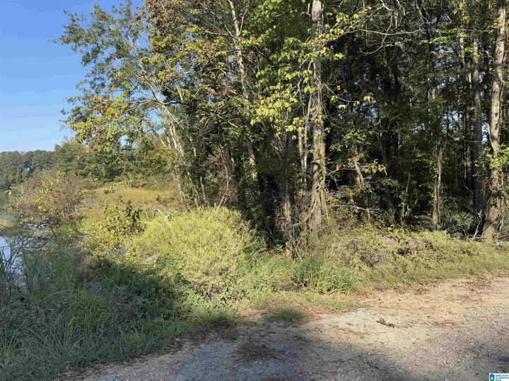Property Photo:  0 Highway 78 1  AL 35096 