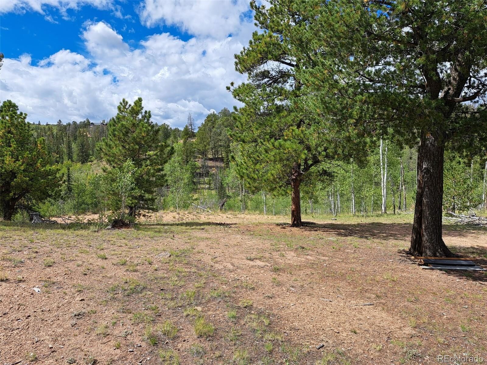 Property Photo:  6524 Remington Rd  CO 80432 