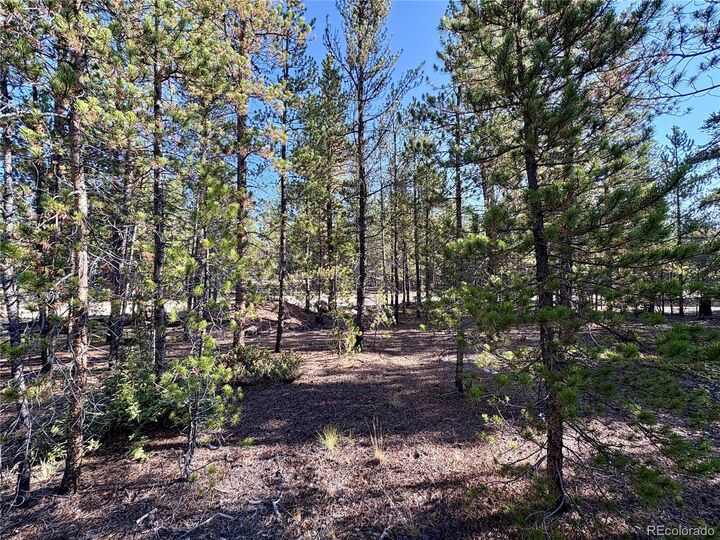 Property Photo:  479 Birch Dr  CO 80461 