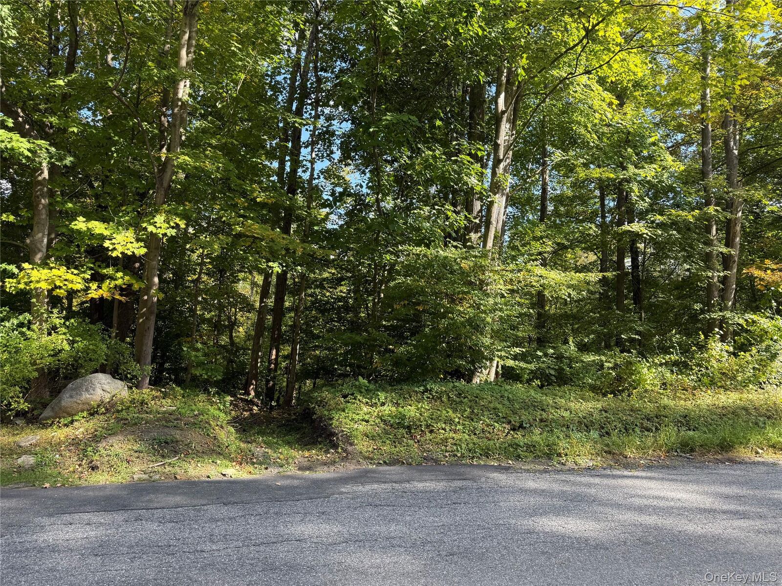Property Photo:  Ludington  NY 10512 