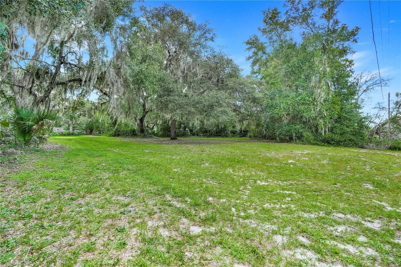 Property Photo:  Selman Road  FL 34748 