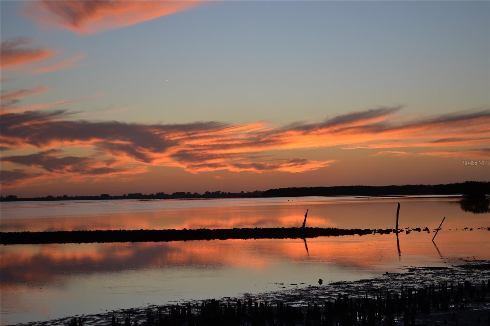 Property Photo:  6430 Sun Eagle Lane 201  FL 34210 