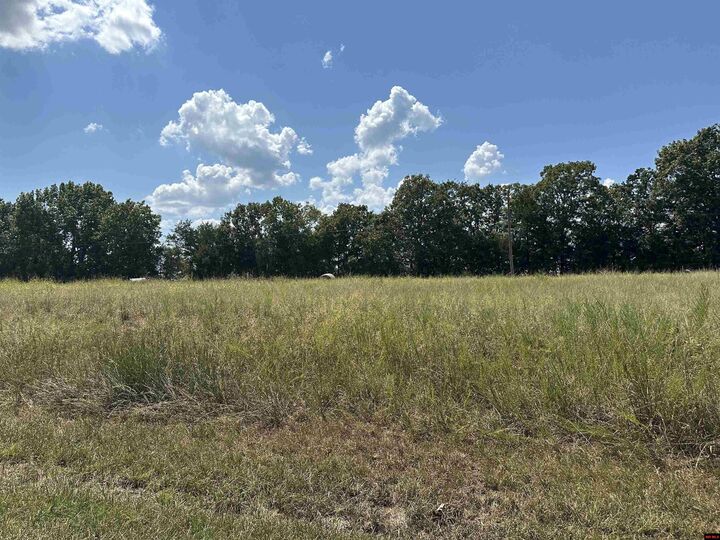 11550 Hwy 125  Peel AR 72668 photo