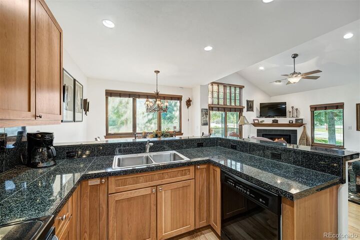Property Photo: 24 Chestnut Lane CO 80424
