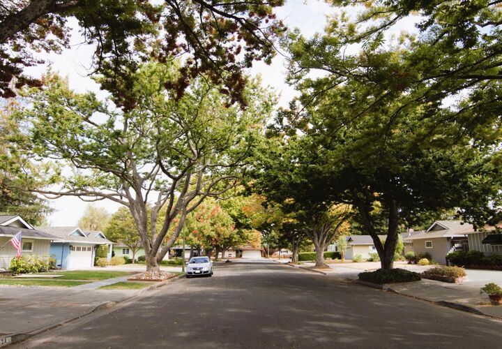Property Photo:  1528 Willowdale Drive  CA 95118 