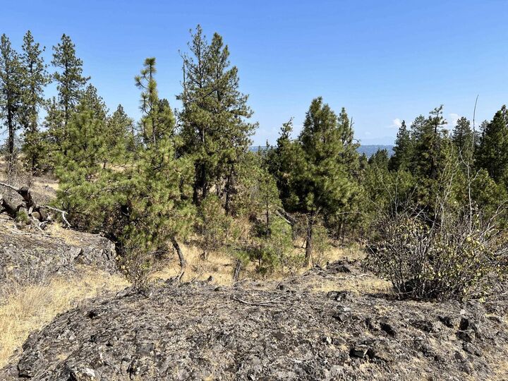 Property Photo:  8200 W Mission Rd  WA 99224 