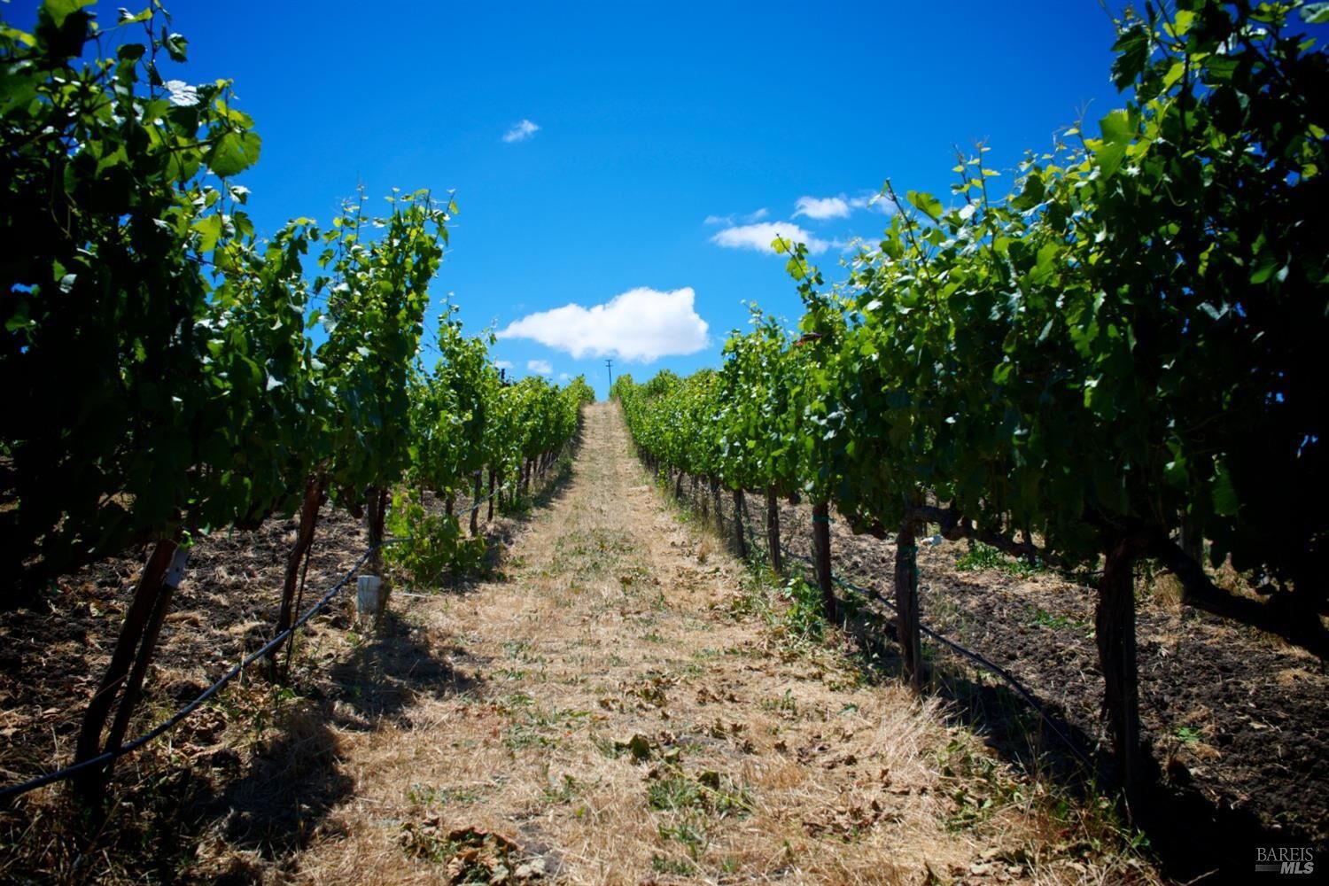 Property Photo: 5074 Old Sonoma Road CA 94559