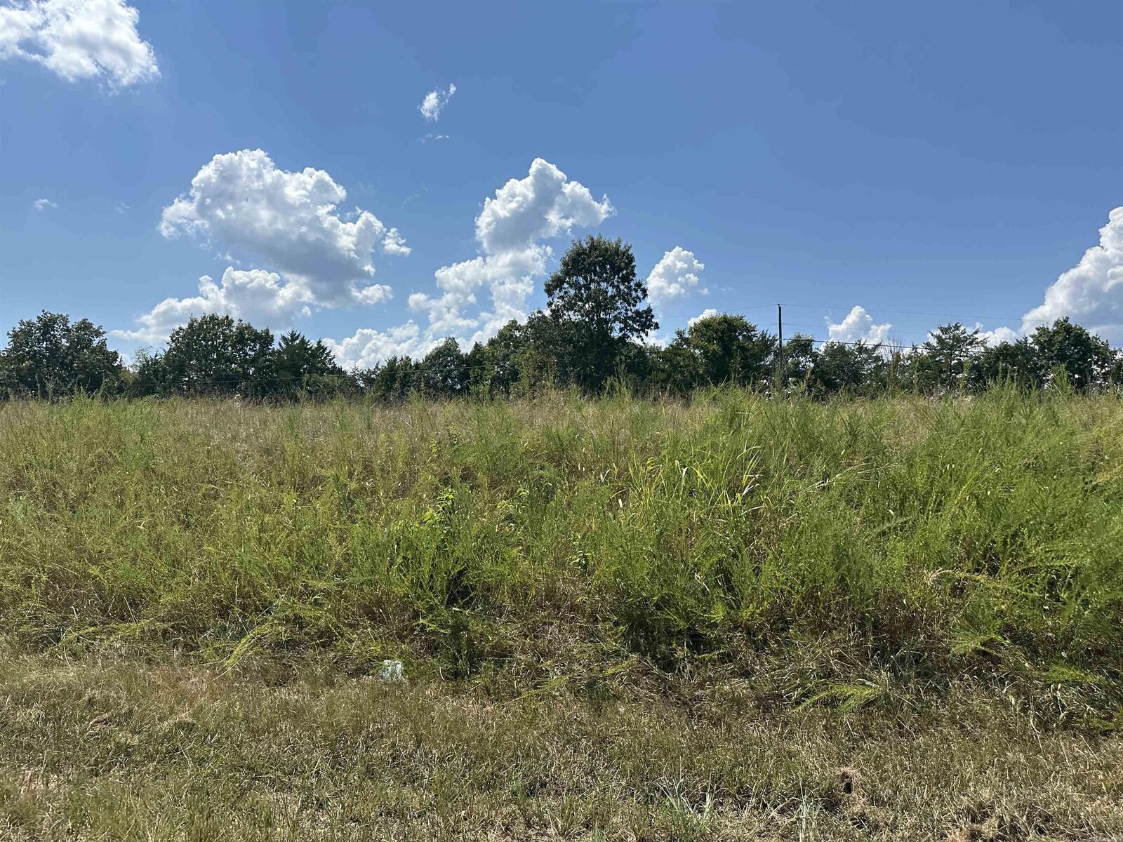Property Photo:  11550 Hwy 125  AR 72668 