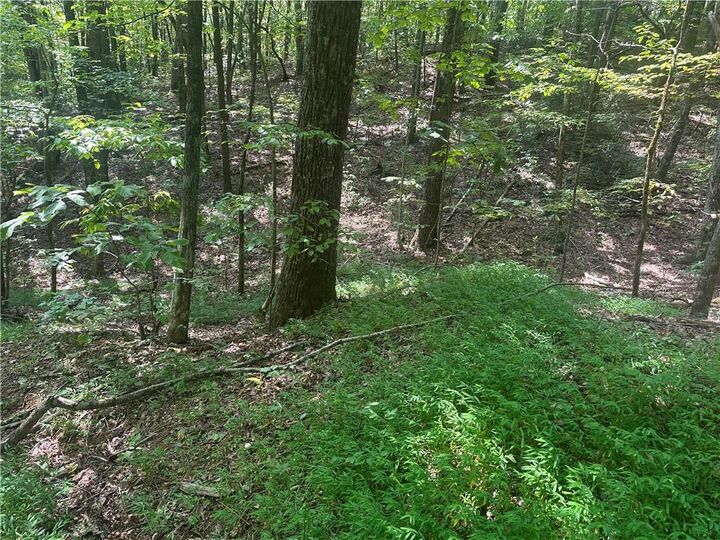 Property Photo: 101 Deer Trail GA 30143