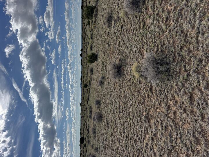 Property Photo:  Lot 130 Jolly Time Lane  NM 87315 