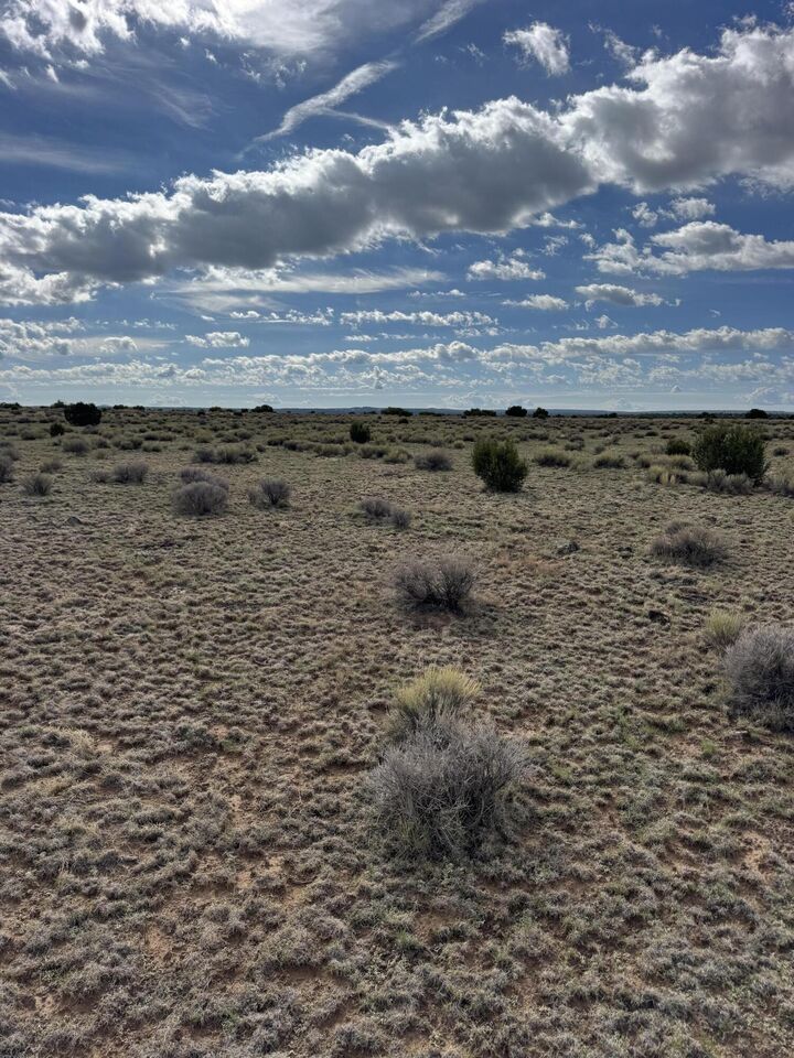 Property Photo: Lot 130 Jolly Time Lane NM 87315