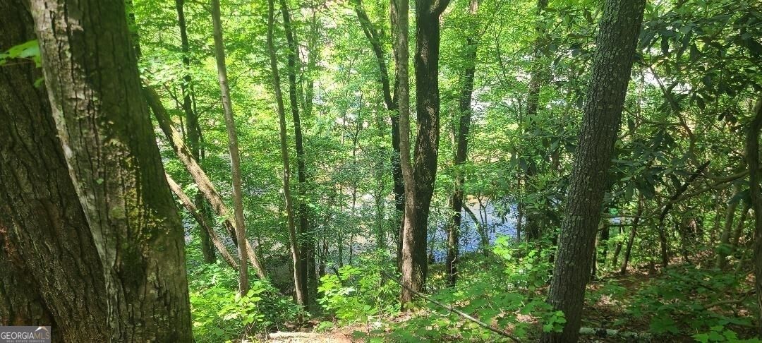 Property Photo: 0 Ber Weg GA 30545