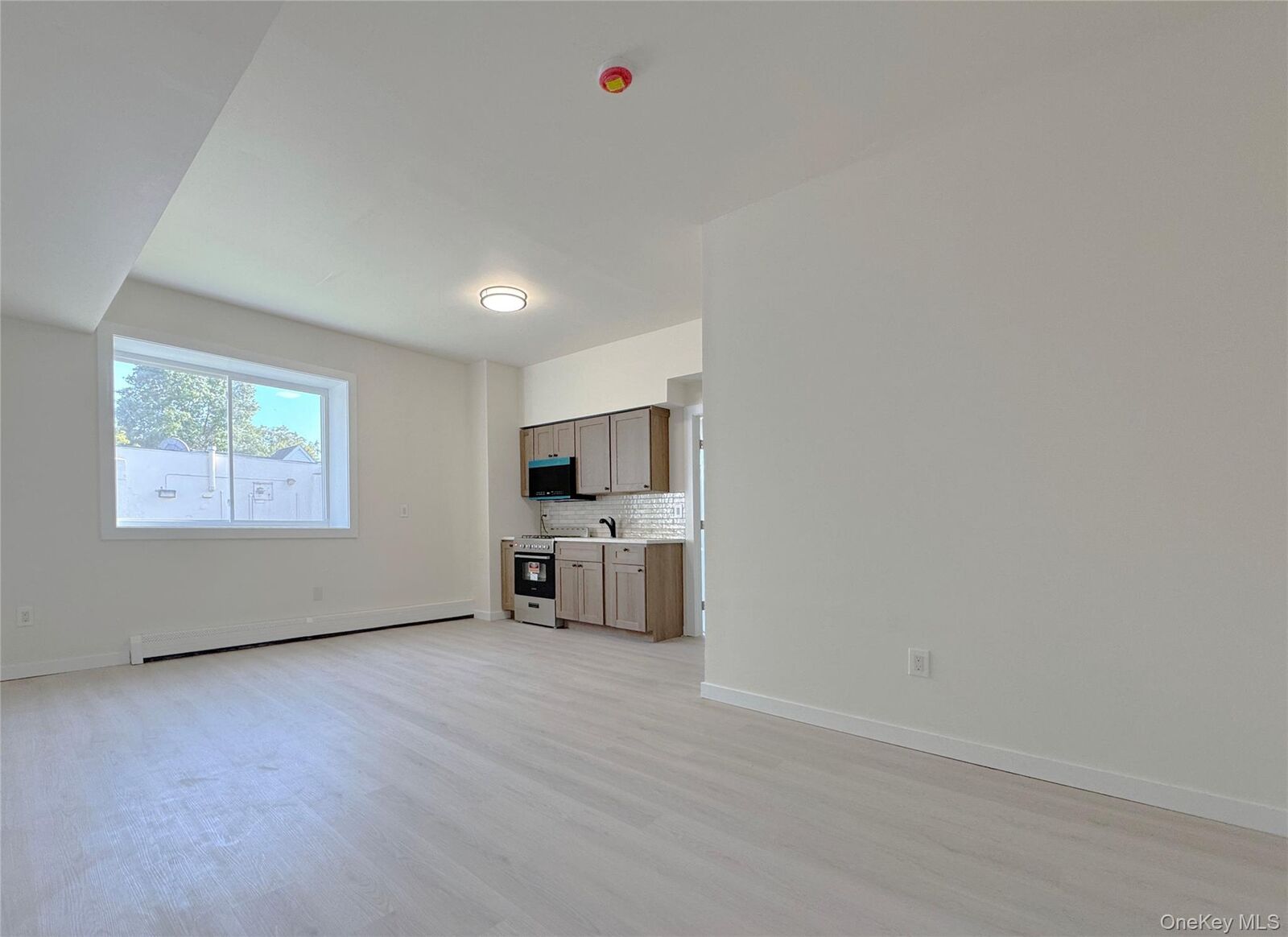 Property Photo:  75 South Avenue 4  NY 12508 
