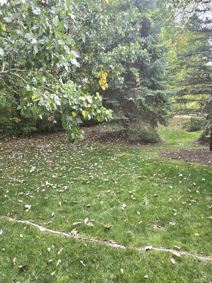 Property Photo:  44272 Princeton Drive  MI 48038 