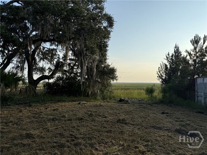 Property Photo:  212 Fish Hawk Lane  GA 31410 