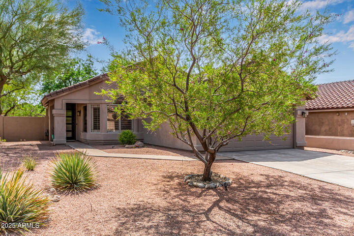 Property Photo:  10245 E Penstamin Drive  AZ 85255 