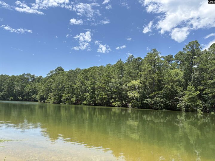 Property Photo:  165 Harbor Point  SC 29065 