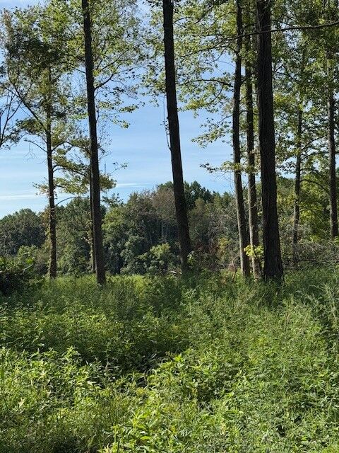 Property Photo: 0 Days Road TN 37083