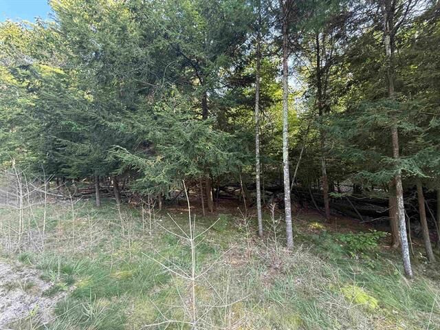 Property Photo:  Lot 58 W Harbor Highway  MI 49636 