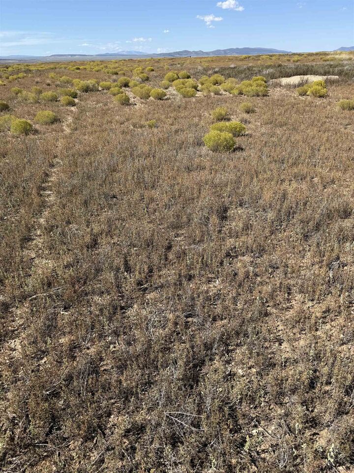 Property Photo: 25 Acres On Gravel Pit Road NM 87529