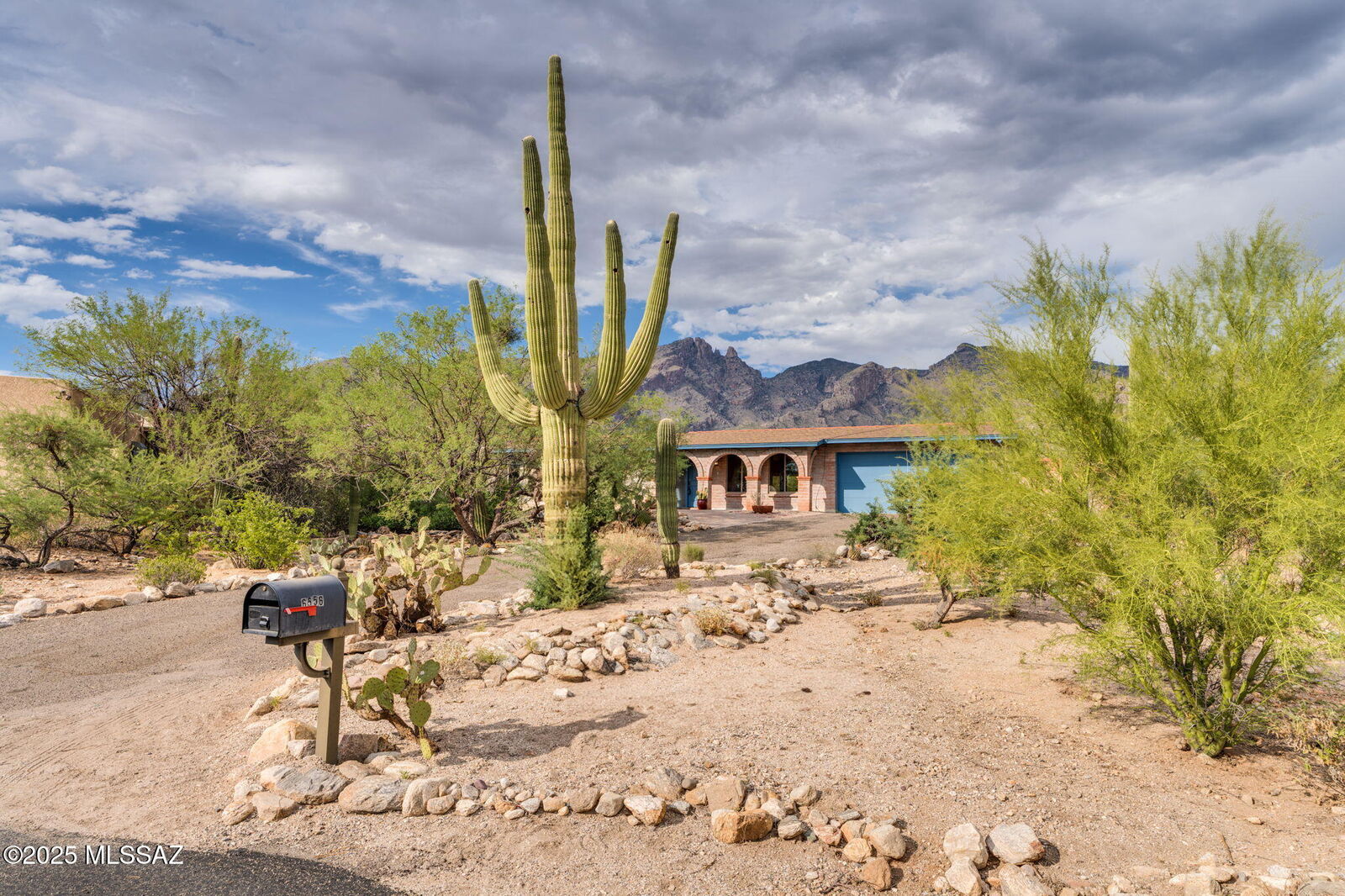 Property Photo:  6556 N Burro Creek Place  AZ 85718 