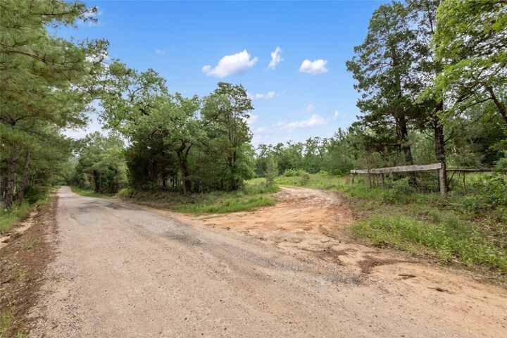 Property Photo:  Tbd Paint Creek South Road  TX 78659 