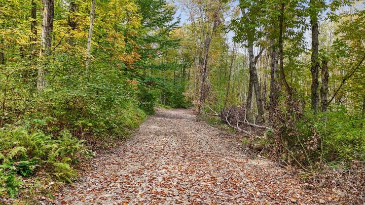 Property Photo: 0 Forest Hill Road NY 13732
