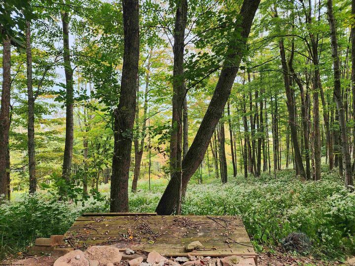Property Photo:  37 Rocky Road  WV 26270 
