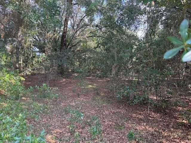 Property Photo:  Lot 18 SW 146th Avenue  FL 34481 
