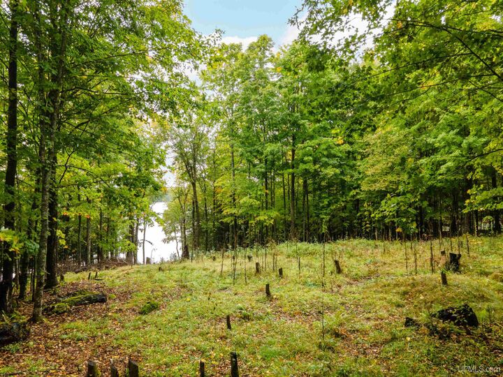 Property Photo:  Tbd Wildwood Drive  MI 49935 