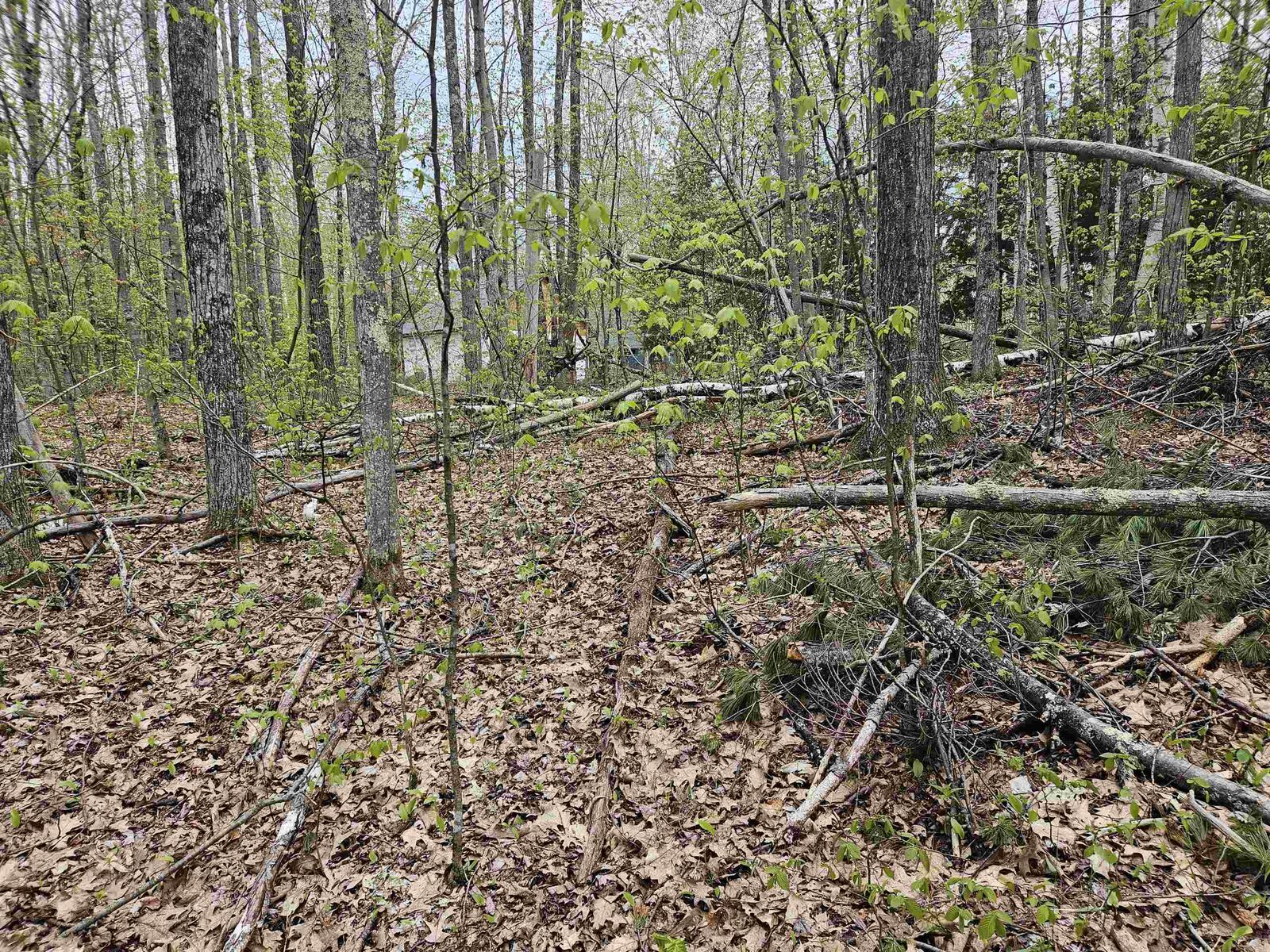 Property Photo:  Lot 124 Paulsen Circle  NH 03765 