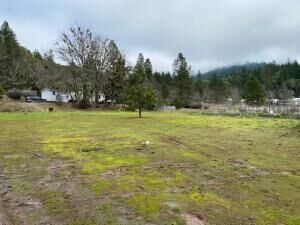 Property Photo: 185 Browntown Road OR 97523