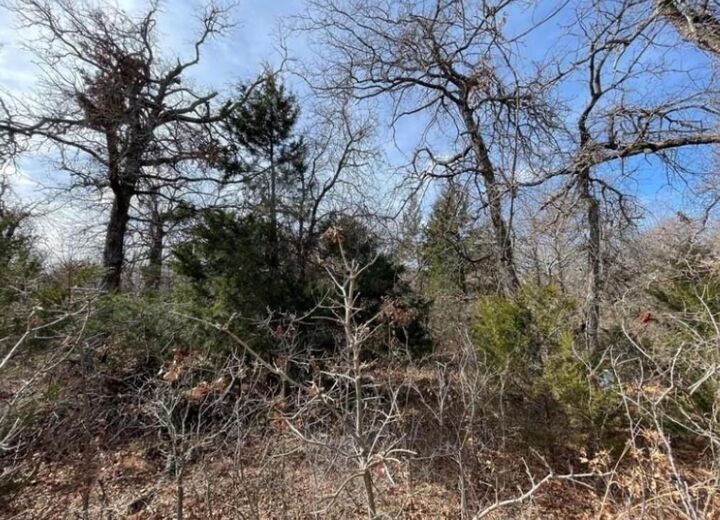 Property Photo:  Lot 14 Toad Road  OK 73045 
