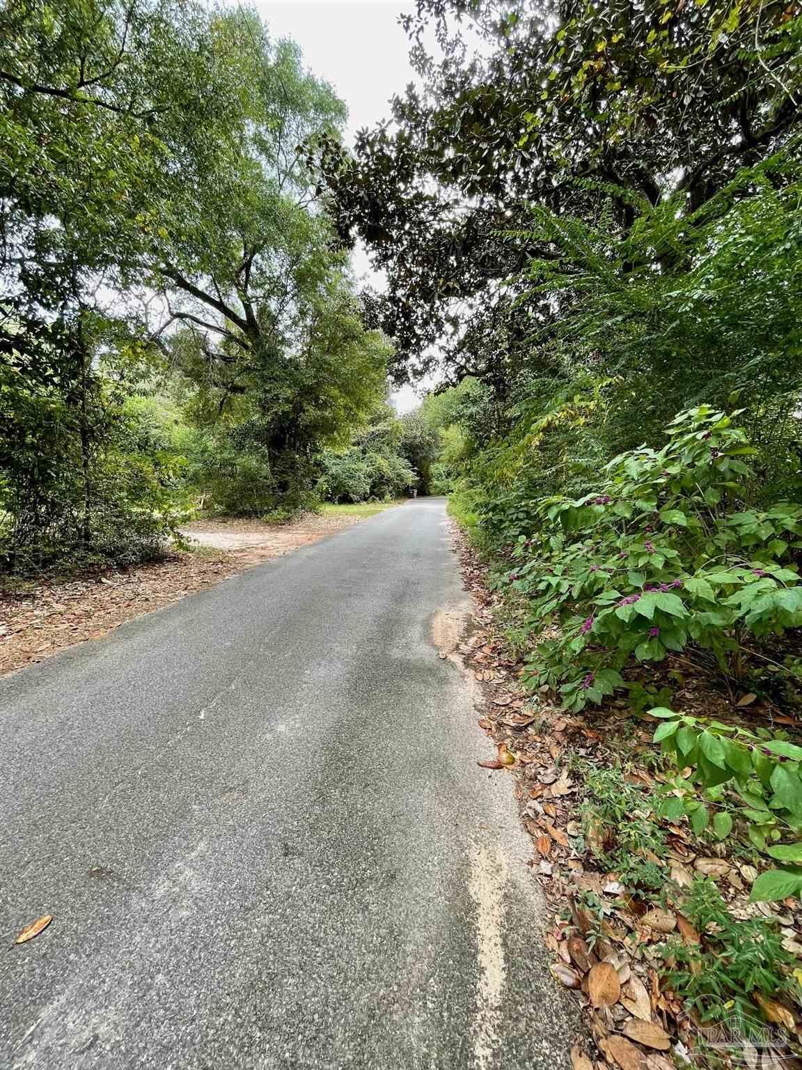 Property Photo:  Tbd St Joseph St  FL 32583 