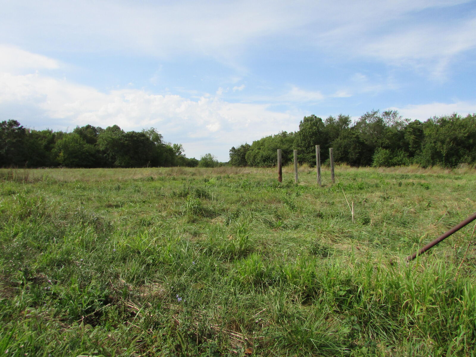 Property Photo:  Tr 1 N Metzletein Road  MO 65610 